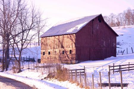 冬天, 雪, 感冒, 景观, 12 月, 冰冷, 红色的谷仓
