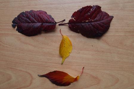 秋天的落叶, 戏剧, 脸上, 秋天, 四季