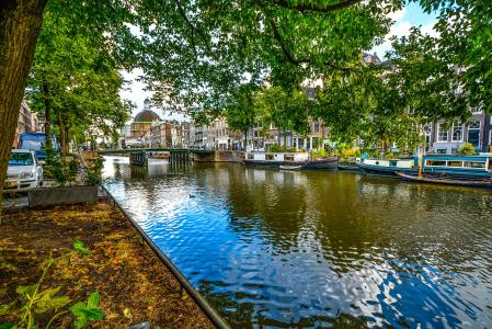 阿姆斯特丹, 桥梁, 运河, 树荫下, 树, 水, 反思