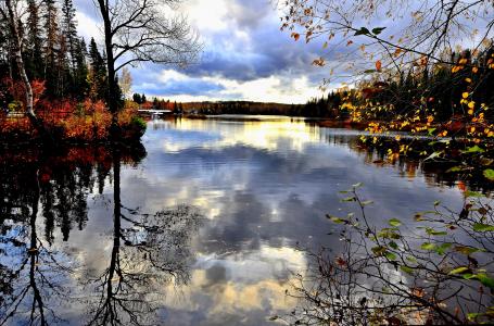 景观, 几点思考, 秋天, 叶子, 水, 湖, 天空
