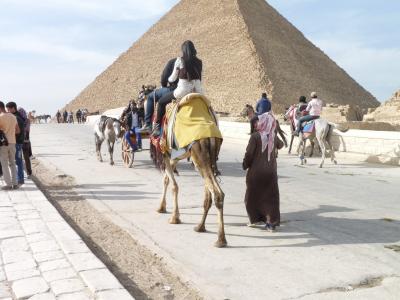 埃及, 金字塔, 街对面, 骆驼, 人, 非洲, 文化