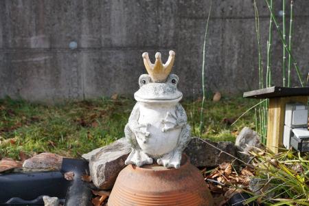 青蛙, 国王, 图