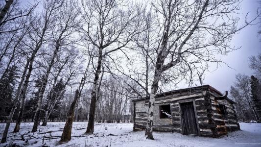冬天, 小屋, 孤独