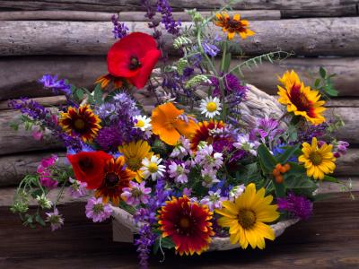 静物, 花, 花束, 花, 木材-材料, 自然, 植物