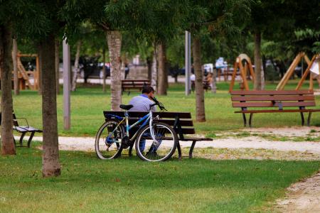 孤独, 板凳, 男子, 自行车, 花园, 公园, 树木