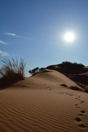 沙漠, 沙海中的足迹, 非洲, 沙子, 跟踪, 走了