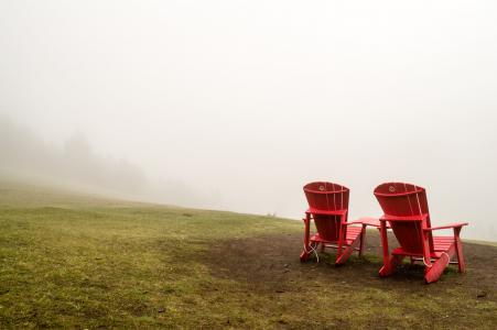 椅子, 雾, 有雾, 草, 躺椅, 自然