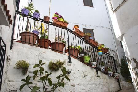 chulilla, 阳台, 植物