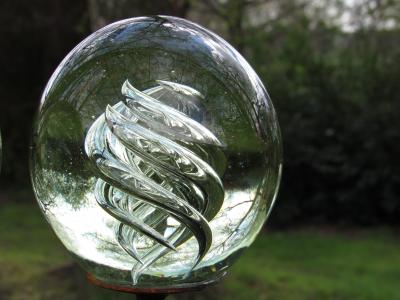 玻璃球, 景观, 镜像, 透明, 球的照片