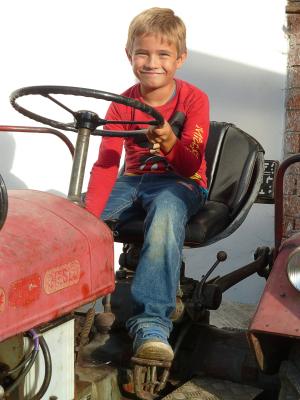男孩, 拖拉机, 红色, 农业, 商用车, 机器, 老