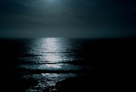 生活, 美, 现场, 夜间海滩, 夜晚的海洋, 水, 海