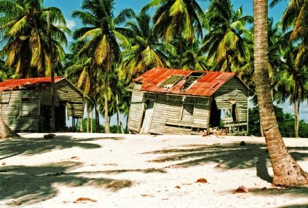 多米尼加共和国, 共和国, 美丽, 海滩, 棕榈树, 烂, 棚