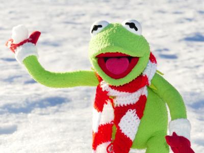 克米特, 青蛙, 雪球, 投掷, 雪, 冬天, 感冒