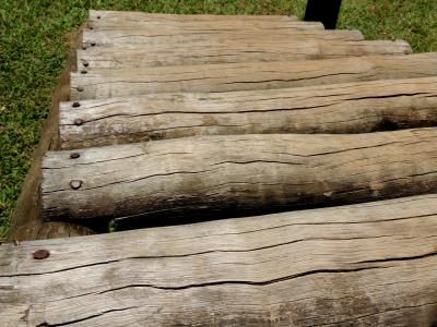 木材, 树干, 树干的台阶, 树干