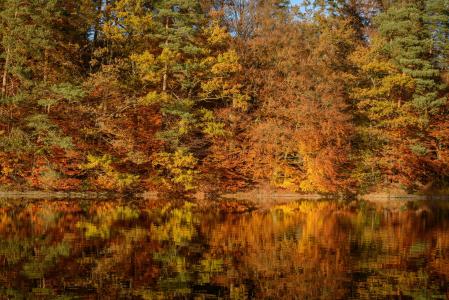 秋天的落叶, 湖, 镜像, 秋天, 水, 叶子, 秋天的颜色