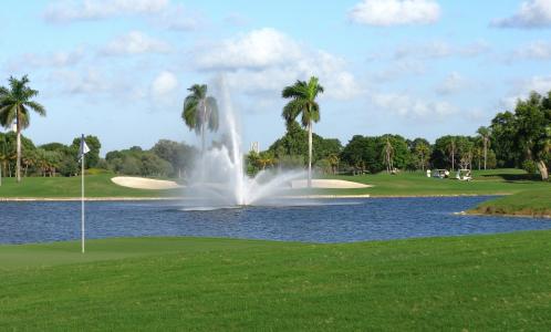 迈阿密, 佛罗里达州, 棕榈树, 棕榈树, 湖, 水, 喷泉
