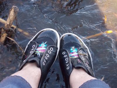 鞋子, 湿法, 水, 双腿, 户外, 双脚