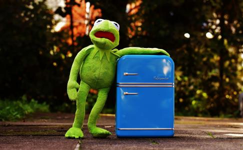 克米特, 青蛙, 冰箱, 有趣, 复古, 绿色, 玩具