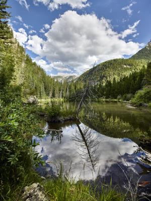 景观, 风景名胜, 荒野, 坚固耐用, 蜥蜴湖, 科罗拉多州, 山脉