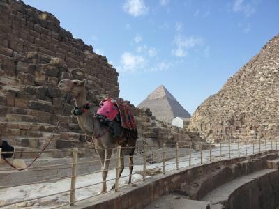 埃及, 金字塔, 吉萨金字塔, 石头, 骆驼, 沙漠, 建筑