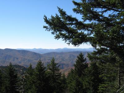 blue ridge 大道, 蓝脊山脉, 山脉, 秋天, 景观, 常绿, 森林