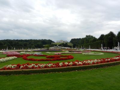 花园, 凡尔赛宫, 法国, 花园, 自然, 花, 郁金香