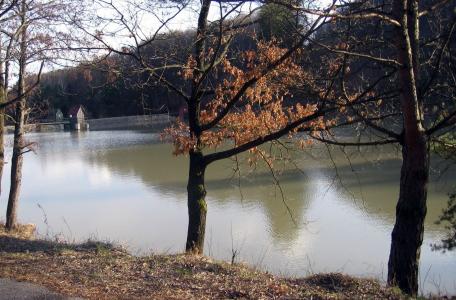 自然, 湖, 树木, 秋天