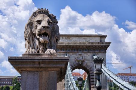 链桥, 桥梁, 狮子, 布达佩斯, 感兴趣的地方, 建筑, 匈牙利