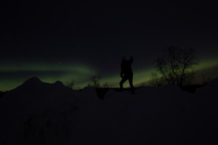 北极光, 晚上, 奥罗拉, 挪威