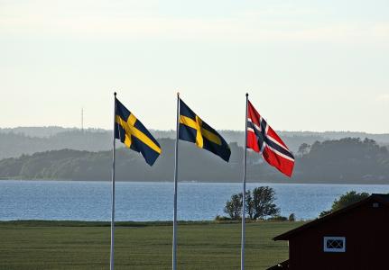 旗帜, 瑞典语, 挪威语, 瑞典国旗
