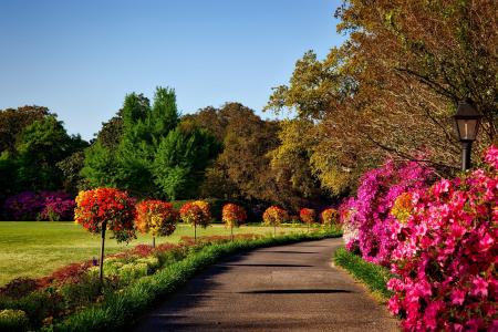 贝林格拉思花园, 阿拉巴马州, 景观, 风景名胜, 自然, 外面, 户外