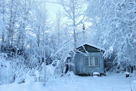 伍兹, 房子, 白色, 冬天, 感冒, 雪, 冰