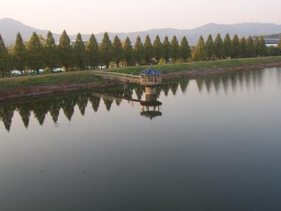 湖, 木材, 景观