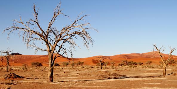 沙漠, 纳米比亚, 沙丘, 非洲, 苏斯, 沙漠景观, soussousvlie