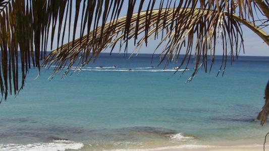 岛, 加那利群岛, 夏季, 海滩, 棕榈树, 假日, 恢复
