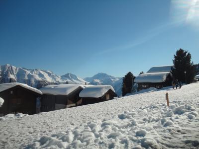 雪, 瑞士, 白色, 车站, 冬天, 圣诞节, 内华达州