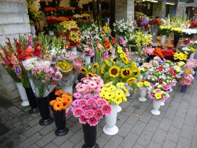 花, 鲜花店, 花束, 多彩, 夏天的花, 花束, 花艺