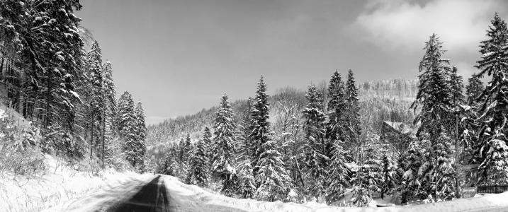 全景, 雪, 自然, 视图, 波兰, 顶视图, 旅游