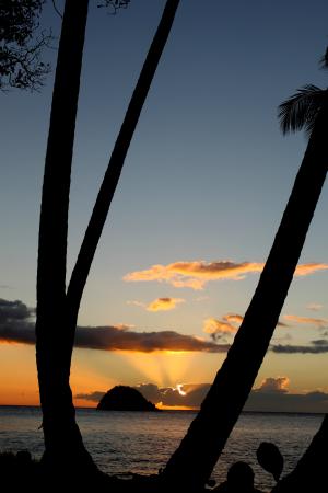 马提尼克岛, 日落, 海滩, 景观, 天空, 地平线, 剪影