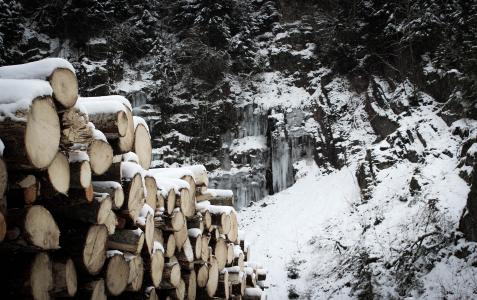 雪, 木材, 冬天, 自然, 感冒, 白雪皑皑, 树干