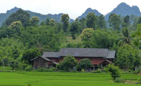 传统的房子, 农民, 泰国, 自然, 亚洲, 山, 农村现场