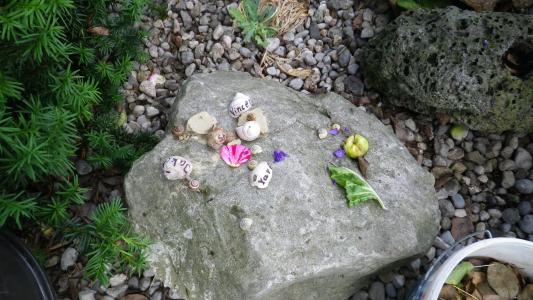 壳, 石头, 玩具