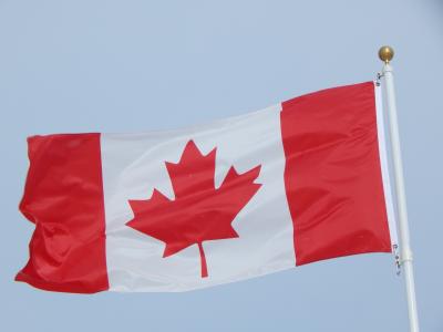 加拿大国旗, 加拿大, 国旗, 枫叶, 加拿大, 国家, 国家