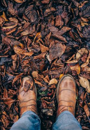 双, 棕色, 皮革, 鞋子, 返回页首, 叶子, 秋天