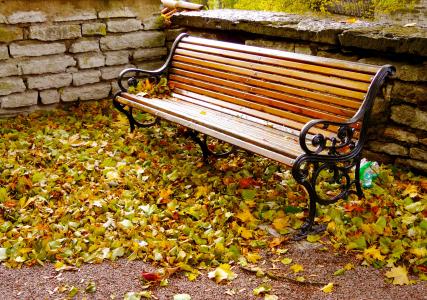 秋天季节, 秋天, 公园, 旧城, 秋天的公园, 塔林, 爱沙尼亚