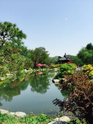 池塘, 丽城, 湖, 景观, 按时, 大韩民国, 木材