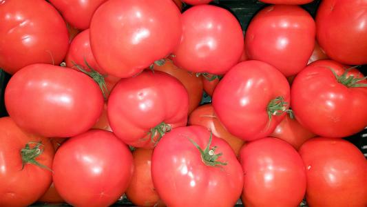 西红柿, 弗里施, 食品, 蔬菜, 红色, 吃, 健康