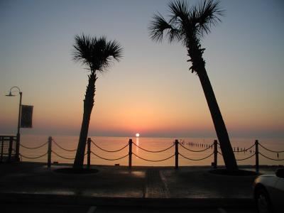 日出, 棕榈树, 早上, 海, 日落, 海滩, 天空