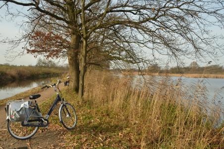 景观, 秋天, 水, 自行车, 自行车道, 树, 自然