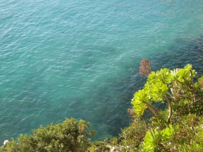 海, 海岸, 地中海, 水, 心情, 绿松石, 绿色